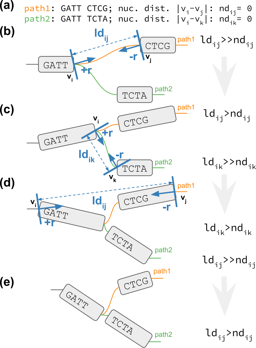 Heumos*, Guarracino* et al. 2024, Bioinformatics